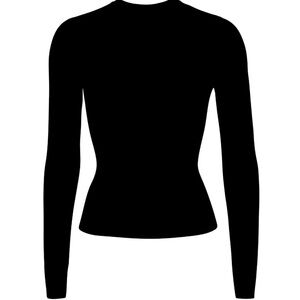Skims NWT Fits Everybody Long Sleeve Crewneck TShirt